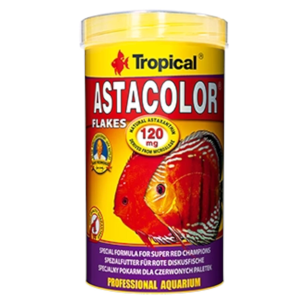 Tropical Astacolor