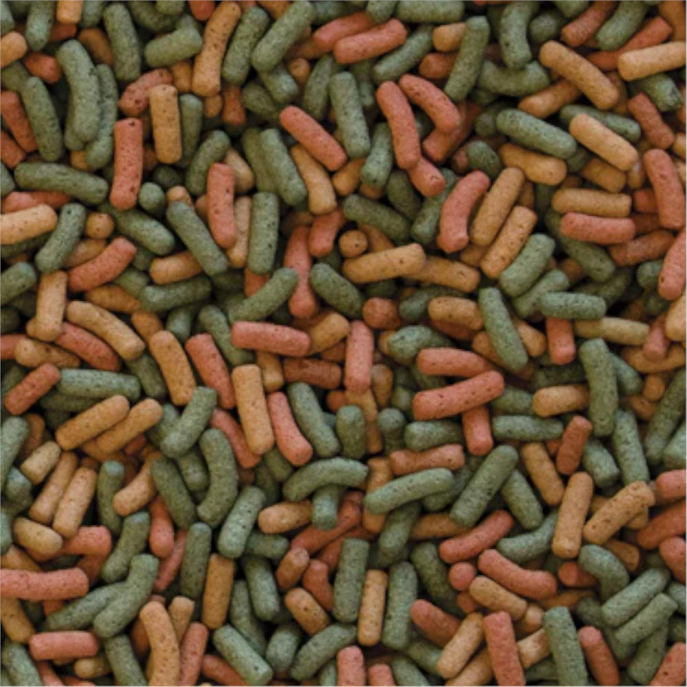 Tropical Biorept W. grain