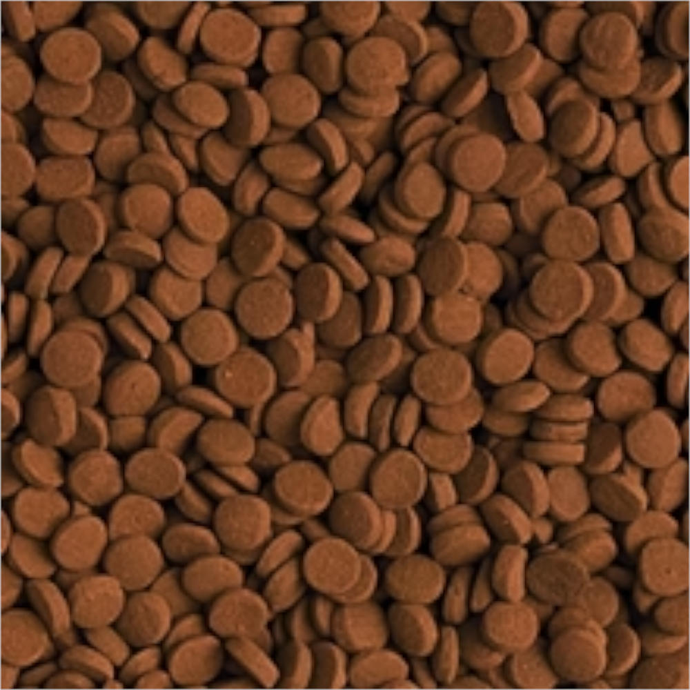 Tropical Carnivore grain