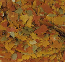  Tropical Goldfish Color Flakes grain