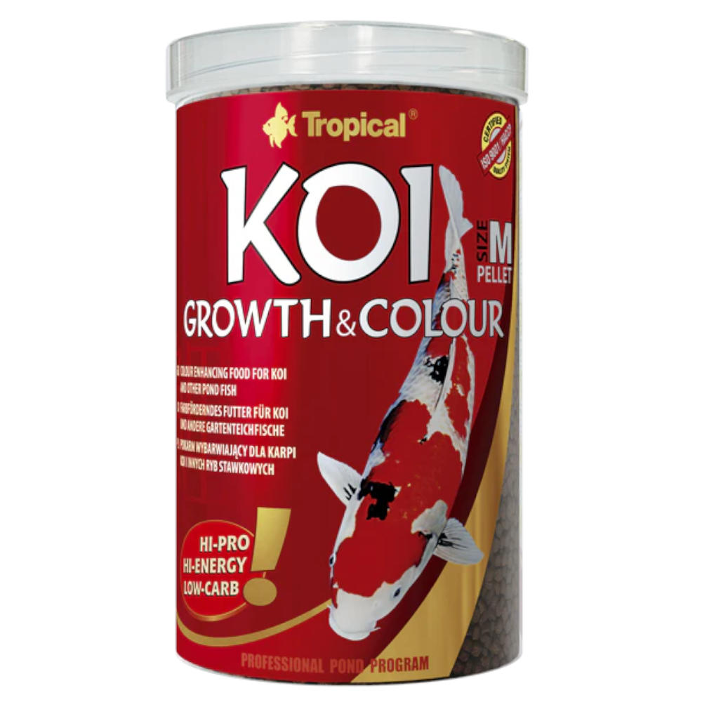 Tropical Koi Growth & Colour