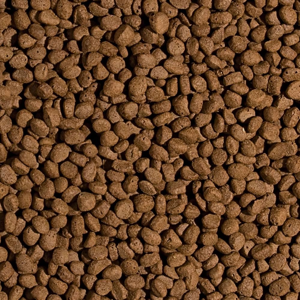 Tropical Koi Wheat Germ & Garlic.