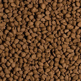 Tropical Koi Wheat Germ & Garlic.