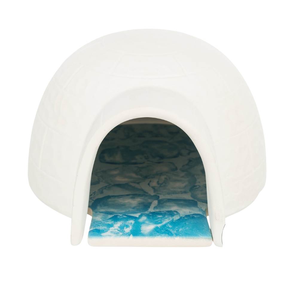 Igloo with Cooling Plate (13 × 9 × 15 cm)