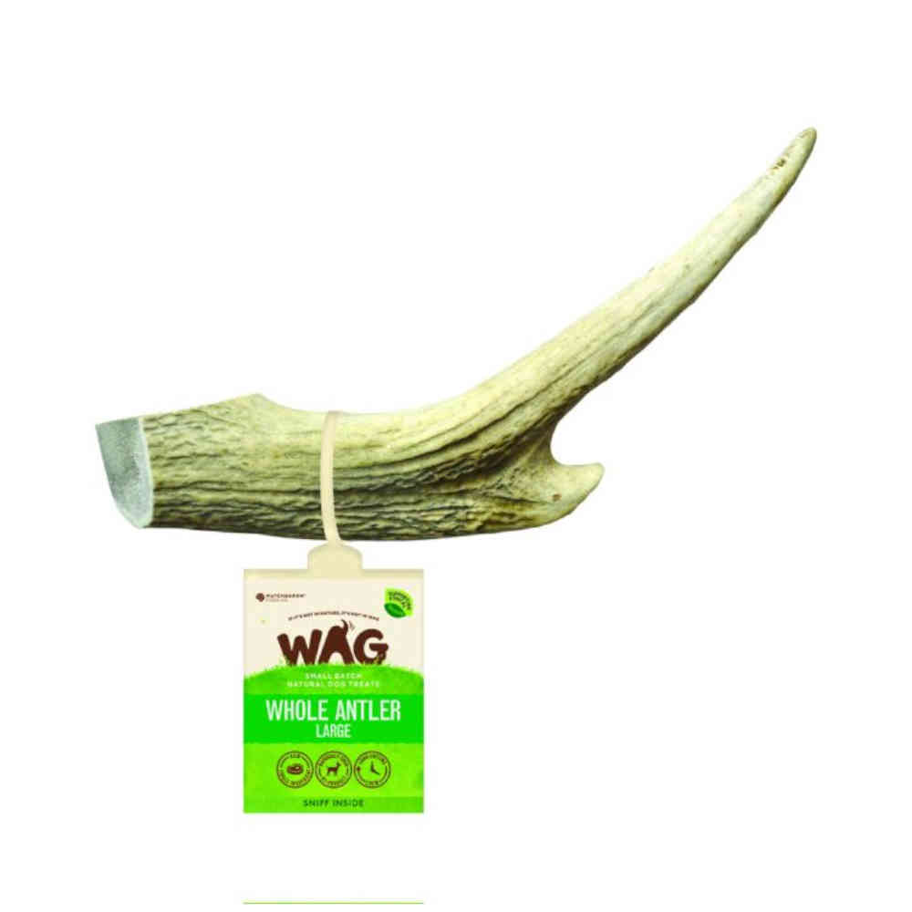 WAG_Antler_Whole-Large