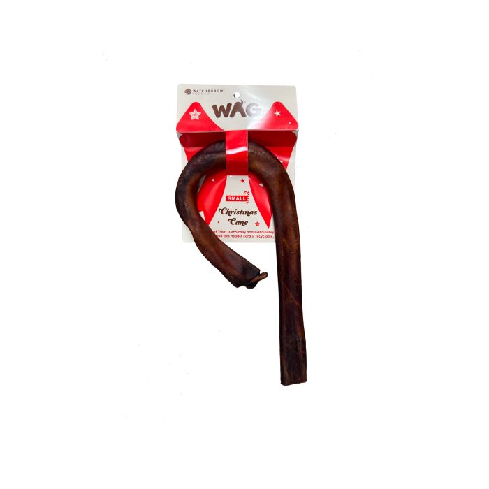 WAG Christmas Collagen Cane-small