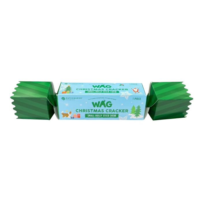 WAG Christmas Cracker Small Bully Stick 