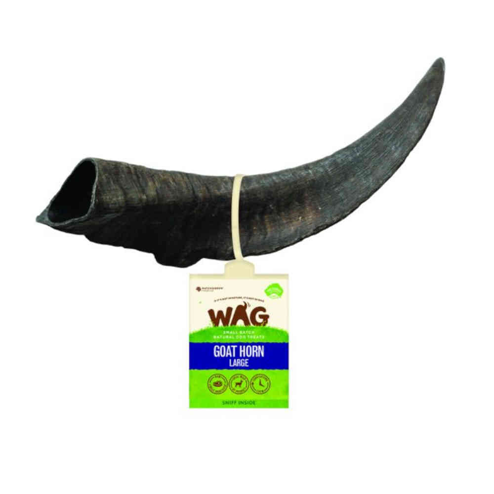 WAG_Goats_Horn-Large