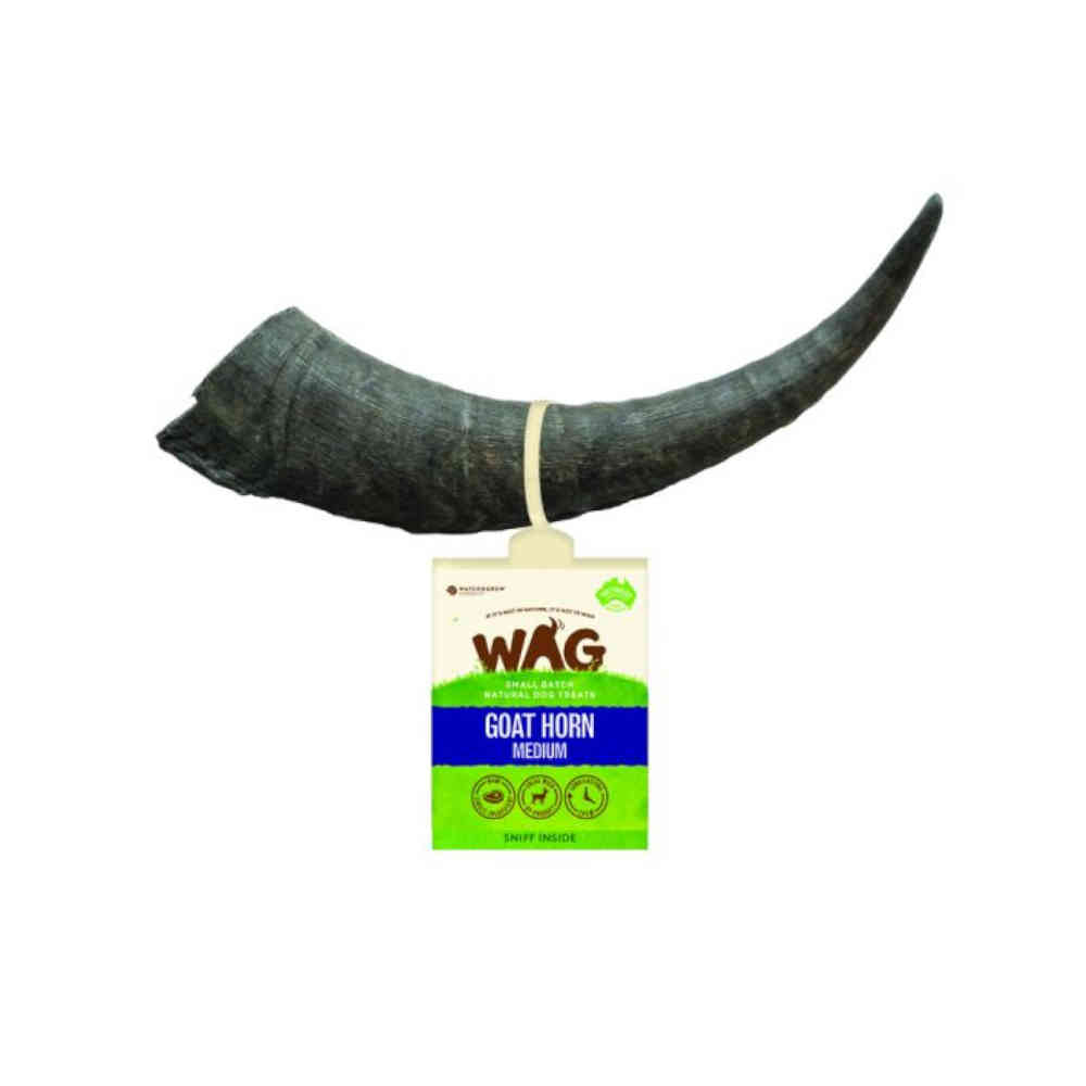WAG_Goats_Horn-Medium