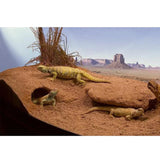 Zoo Med Box Cavern Kit with Excavator 12lb