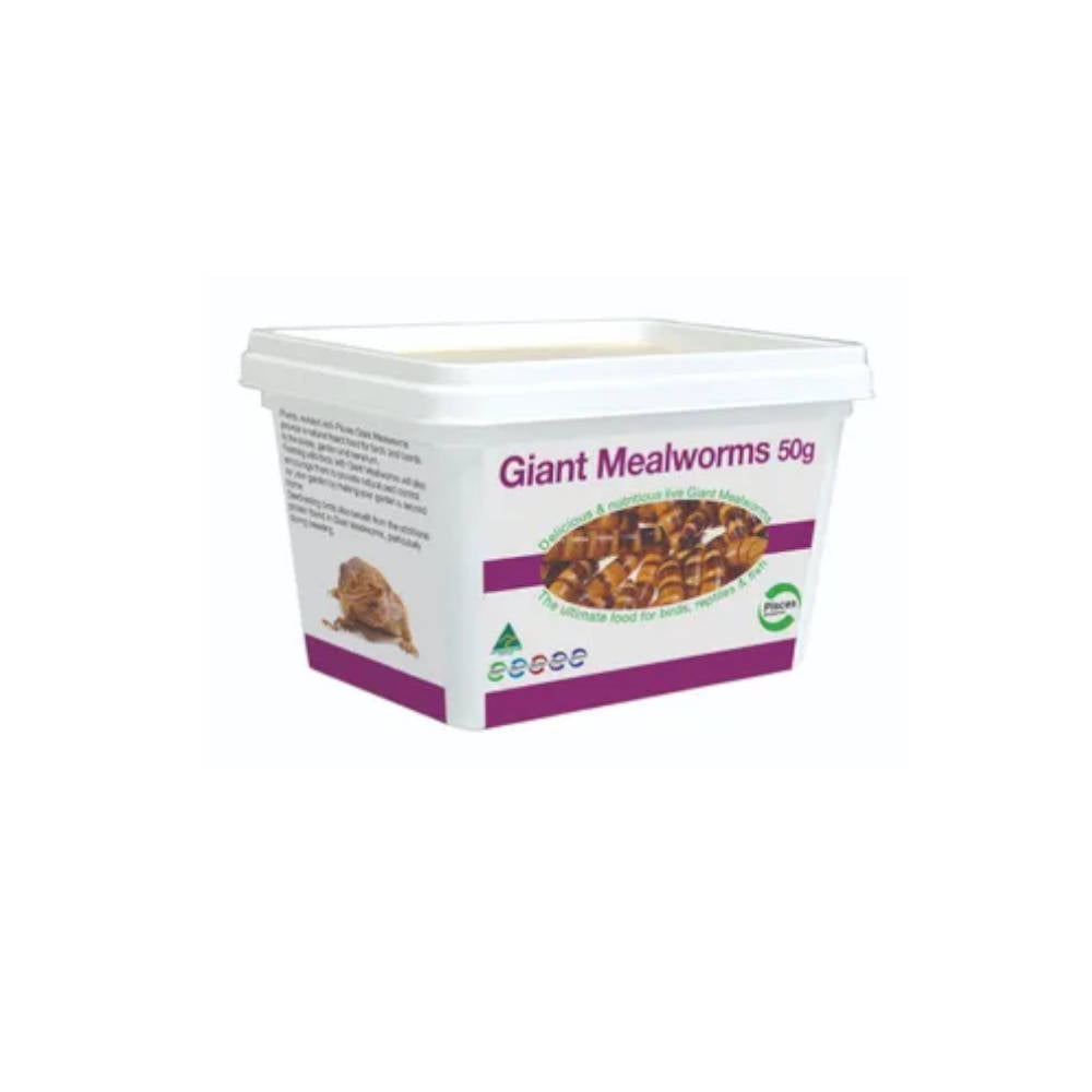 pisces-giant-meal-worms-50g